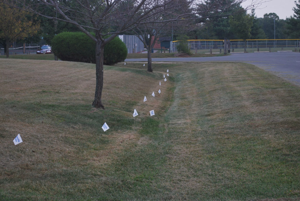 Utility Flags Nebraska City Utilities